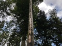 Houderebaeseler-Bueche-Webpage-3-scaled.jpg