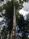 Houderebaeseler-Bueche-Webpage-4-scaled.jpg