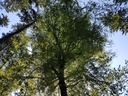 Helios-Buche-webpage-4-scaled.jpg