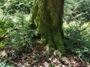 Helios-Buche-webpage-2-scaled.jpg