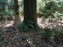Orion-Buche-Webpage-2-scaled.jpg