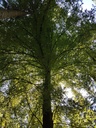 Orion-Buche-Webpage-4-scaled.jpg