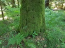 Wega-Buche-Webpage-2-scaled.jpg