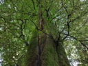 Wega-Buche-Webpage-3-scaled.jpg