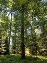 Wega-Buche-Webpage-4-scaled.jpg