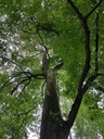 Freyja-Linde-5-scaled.jpg