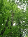 Paarhufer_1_1500px.jpg