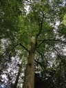 Felicitas-Linde-2-scaled.jpg