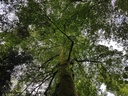 Felicitas-Linde-3-scaled.jpg