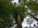 Little-John-Buche-Webpage-3-scaled.jpg