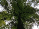 Atlas-Buche-3-scaled.jpg
