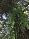 Walkueren-Eiche-Webpage-4-scaled.jpg