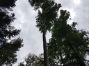 Schoeppelimunggi-Bueche-Webpage-3-scaled.jpg