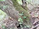 Goetschi-Beeri-2-scaled.jpg