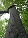 Goetschi-Beeri-3-scaled.jpg