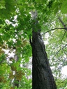 Goetschi-Beeri-4-scaled.jpg
