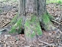 Turm-Eibe-3-scaled.jpg