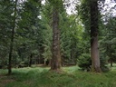 Wilhelm-Tell-Buche-webpage-2-scaled.jpg