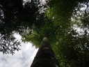 Wilhelm-Tell-Buche-webpage-4-scaled.jpg