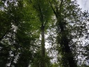 Wilhelm-Tell-Buche-webpage-5-scaled.jpg