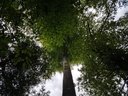 Wilhelm-Tell-Buche-webpage-6-scaled.jpg