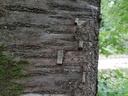Loreley-Kirsche-Webpage-5-scaled.jpg