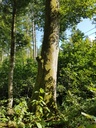 Schutzengel-Buche-webpage-2-scaled.jpg