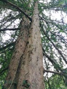 Schlufi-2-scaled.jpg