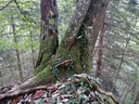 Knubel-Beeri-3-scaled.jpg