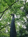 Knubel-Beeri-4-scaled.jpg