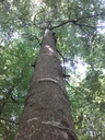 8610021031-Kollege-Webpage7-scaled.jpg