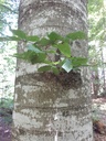 8610021031-Kollege-Webpage9-scaled.jpg