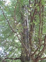 8610021.028-Batmann-Webpage23-scaled.jpg