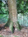 Schaerge-Vogel-2-scaled.jpg