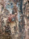 834021213-Baerenbuche-Webpage13-scaled.jpg