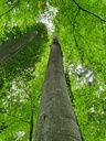 834021213-Baerenbuche-Webpage17-scaled.jpg