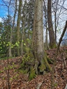 Half-Pipe-Buche-webpage-3-scaled.jpg