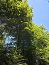 20250718_141302_Easy-Resize.com_.jpg