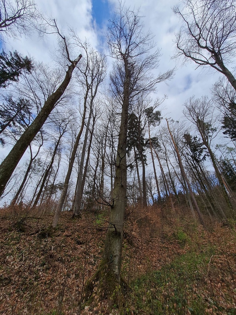 20210414_173136Pfeiffenputzer-Webpage-3-scaled.jpg