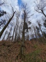 20210414_173136Pfeiffenputzer-Webpage-3-scaled.jpg