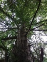 Klaas-Webpage-2-scaled.jpg