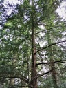 Klaas-Webpage-3-scaled.jpg