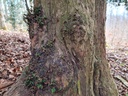 20210414_150509-scaled.jpg