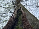 20210414_151001Labyrinth-Buche-webpage-4-scaled.jpg
