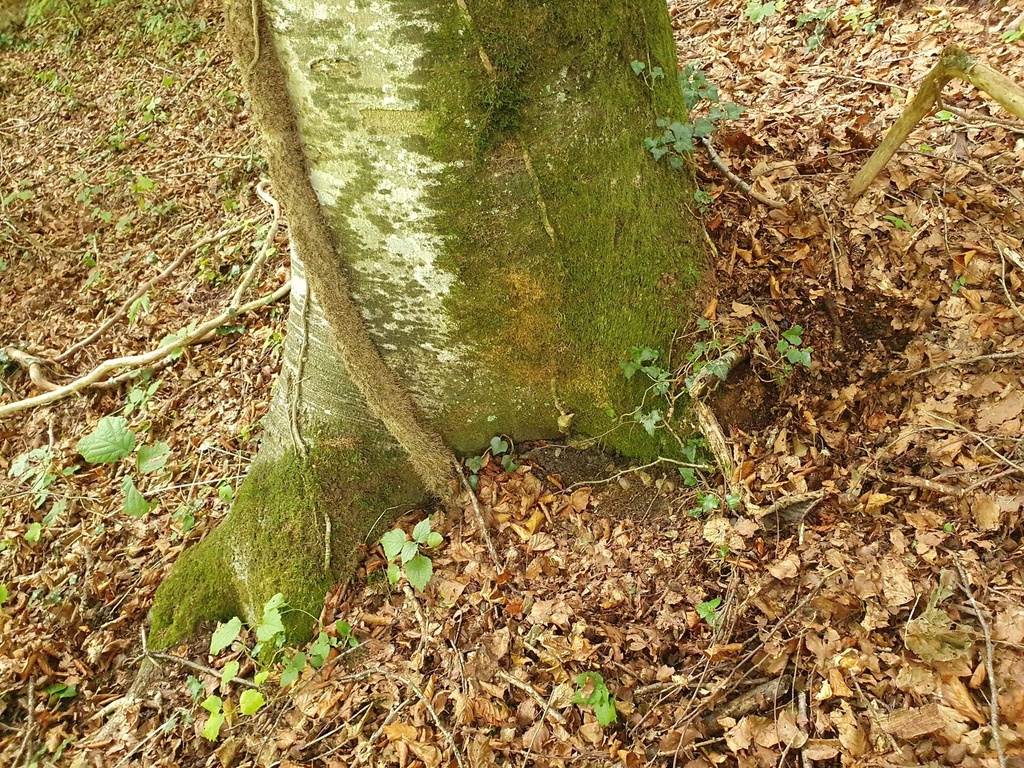 834021215-2-scaled.jpg