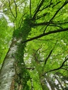 834021215-3-scaled.jpg
