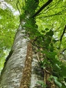 834021215-4-scaled.jpg