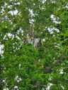 834021212-Grossmutter-Eiche-Webpage-15-scaled.jpg