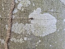 Zilpzalp-Webpage-4-scaled.jpg