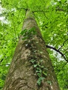 834021214-Toebeli-Buche-Webpage-11-scaled.jpg